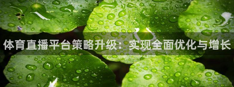 168全国统一开奖官网