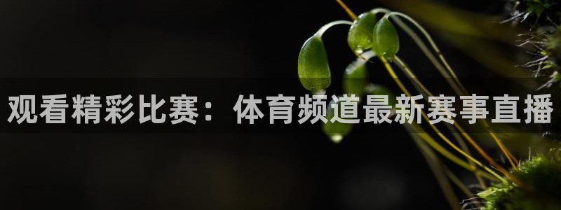 168全国统一开奖网极速赛车极速赛车16
