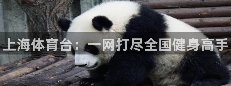 168全国开奖网下载